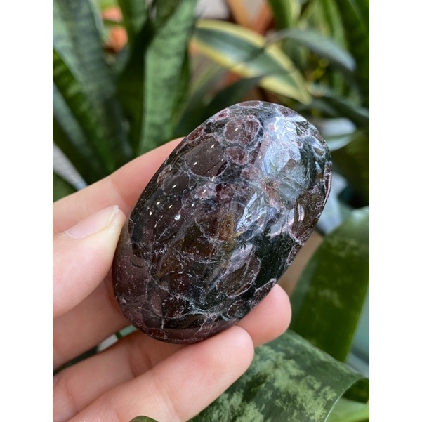 Palm Astrophyllite Garnet
