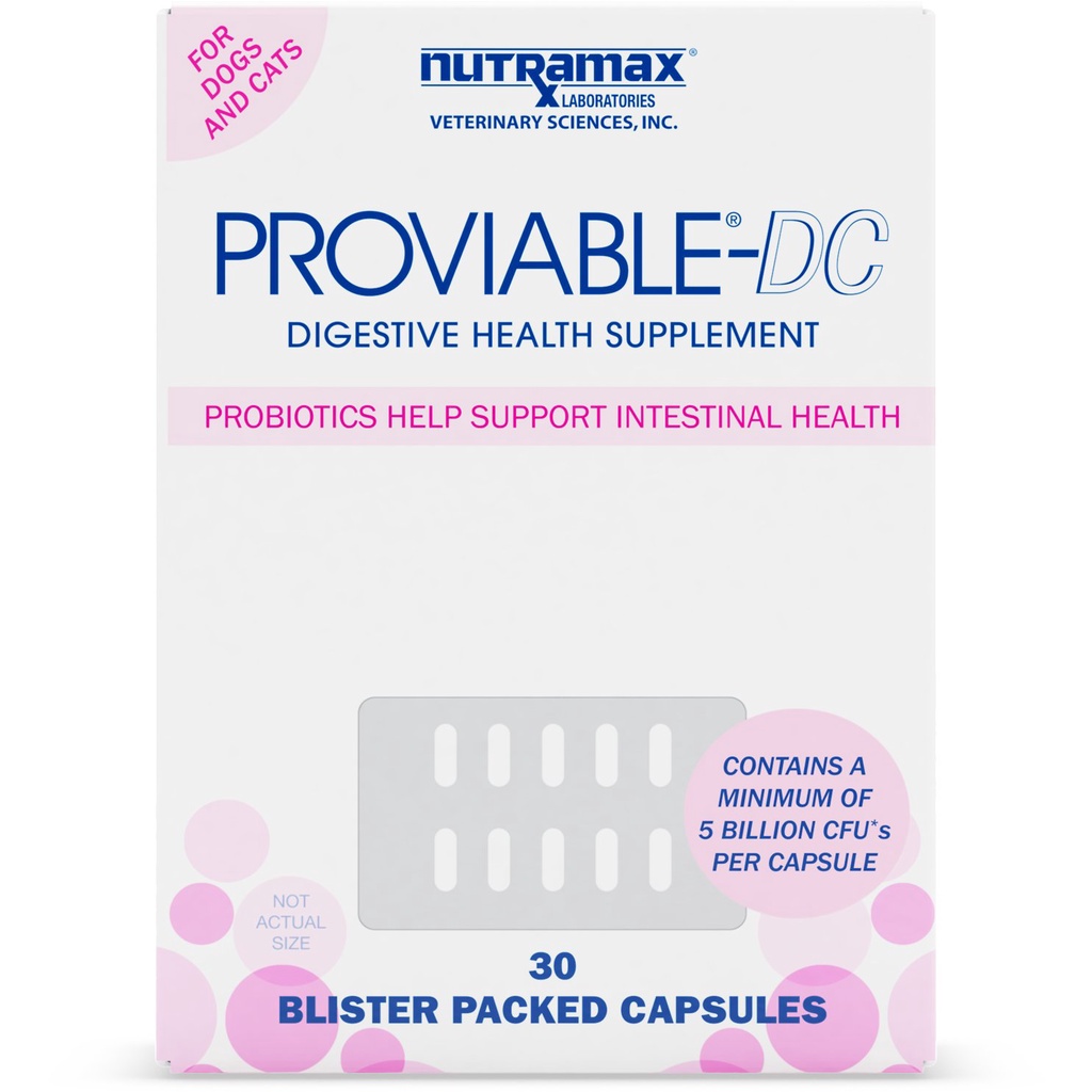 Men tiêu hoá cho chó mèo Nutramax Proviable