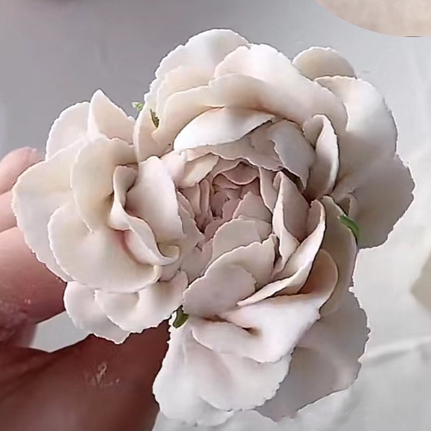 Đui bắt hoa hồng cánh trái, Đuôi bắt hoa hồng cánh phải, đui hoa trà bằng thép không gỉ  dày dặn