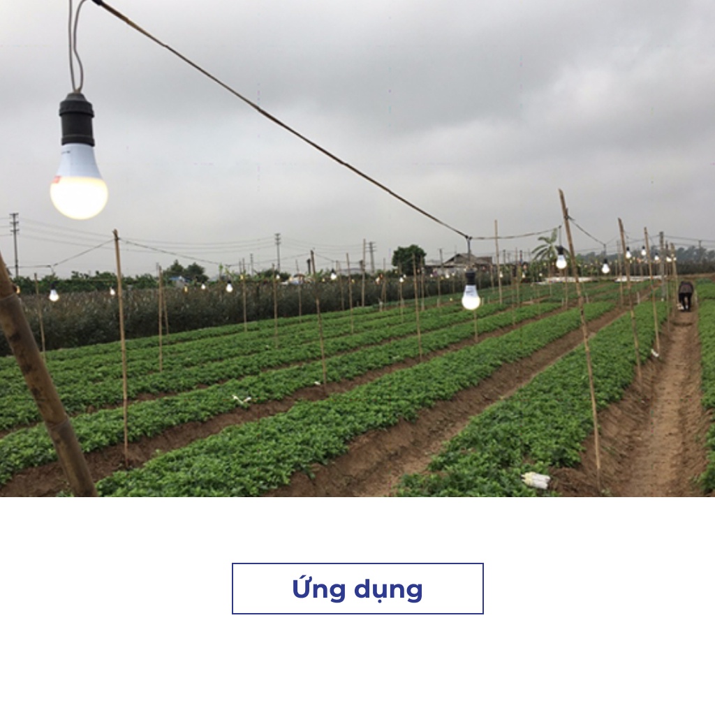 Đèn led trồng hoa cúc 9W Rạng đông Model: LED HC A60/9W 3000K