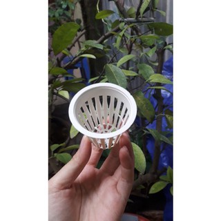 [Giá sỉ] 100 Rọ nhựa thủy canh (cốc trồng rau)