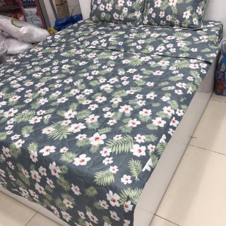 Trọn bộ 5 món drap cotton polly