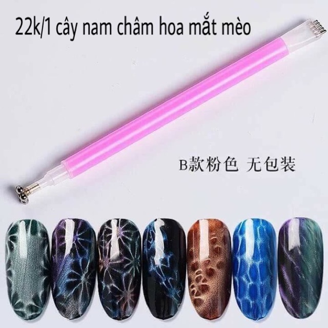 Nam châm hoa mắt mèo