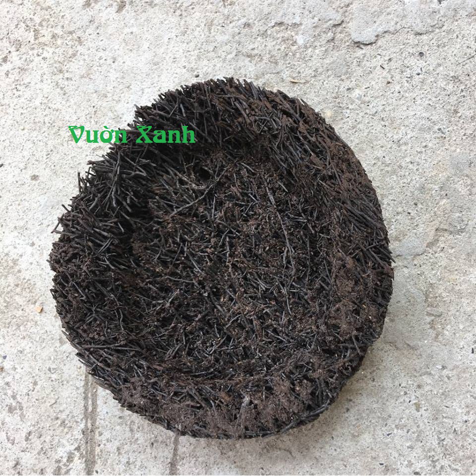 Dớn tròn ghép lan KT 20x3cm