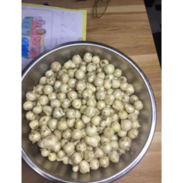 Hành tăm - Củ nén đặc sản miền Trung siêu sạch, thơm ngon - Gói 1KG Loại 1