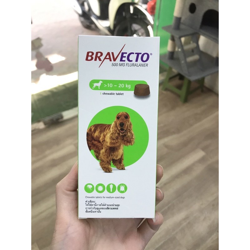 Viên nhai Bravecto cho chó