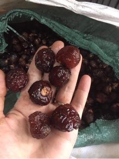 Quả bồ hòn, bồ hòn tách hạt loại đẹp tươm mật