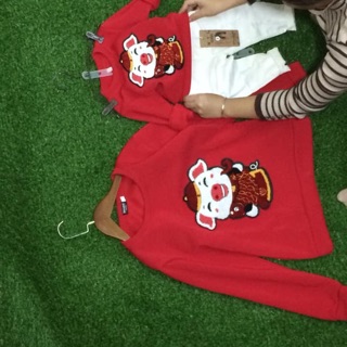 Combo(nỉ heo+dạ ép+áo lông)