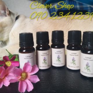 Tinh dầu cỏ mèo catnip