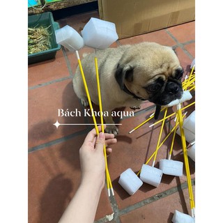 Vợt tép chuyên dụng
