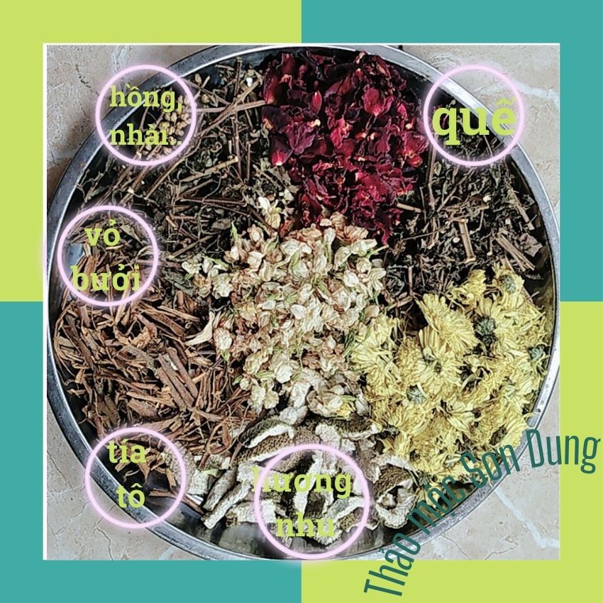 Xông mặt Thảo mộc Sơn Dung, gói dùng cho 1 lần, XM0.1 | BigBuy360 - bigbuy360.vn