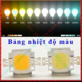 Chíp led 12V 10W siêu sáng ( giá ngon bổ rẻ)