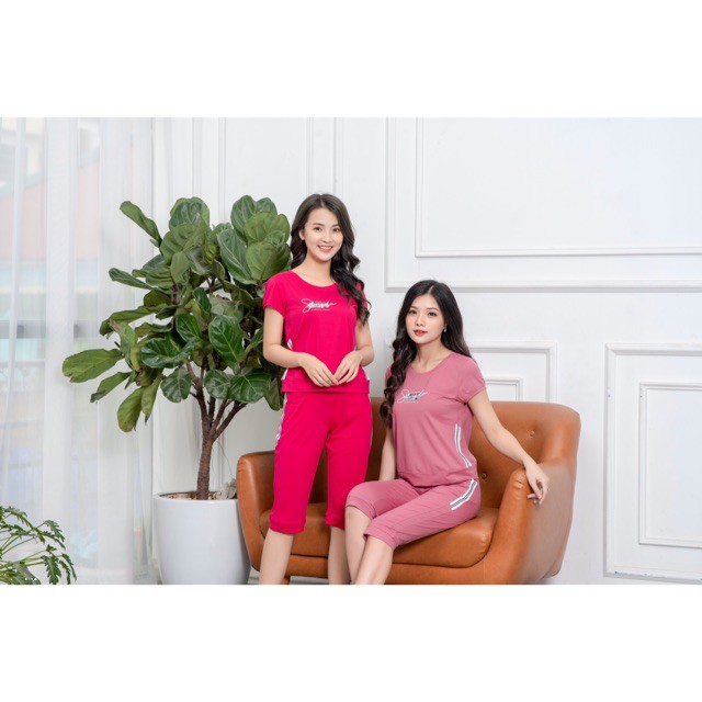 Bộ Đồ Nữ Mùa Hè🔥FREE SHIP🔥Bộ Đồ Nữ Chất Liệu Cotton Cao Cấp - Thiết Kế Đơn Giản - Tôn Dáng - CODE 15 | BigBuy360 - bigbuy360.vn