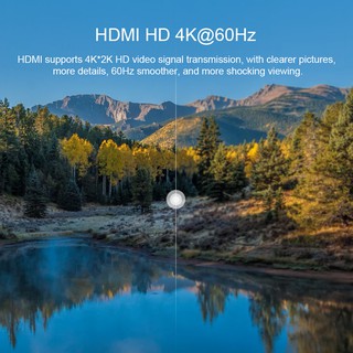 Cáp USB-C to HDMI 4K/60Hz Hagibis