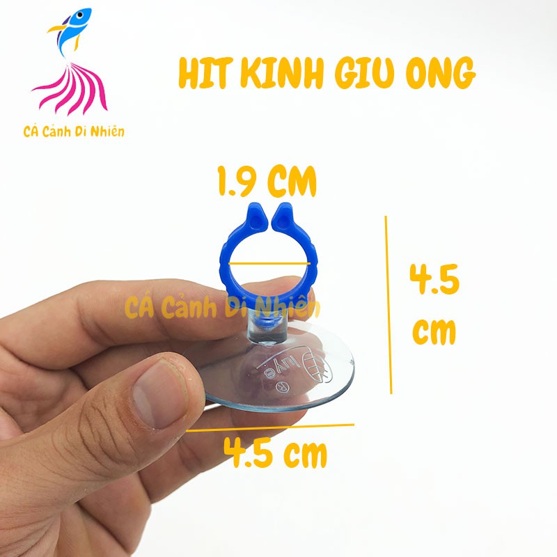 Hít kính giữ ống DÂY 19 mm cho hồ cá cảnh