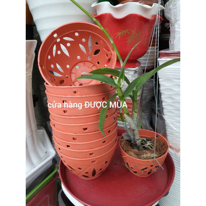 combo 5 chậu nhựa trồng lan kiểu giả đất phi 18.