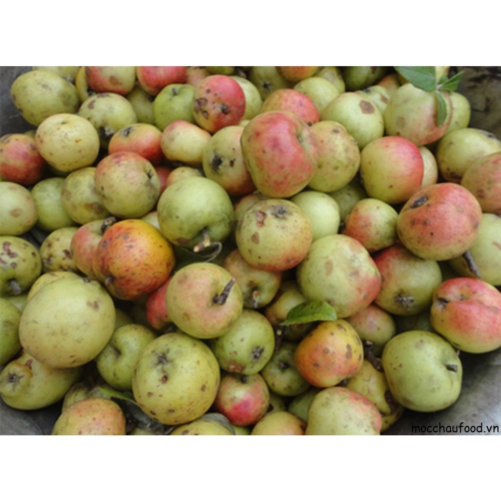 Táo mèo khô Yên Bái, đặc sản núi rừng Tây Bắc ngâm rượu cực ngon không chất bảo quản