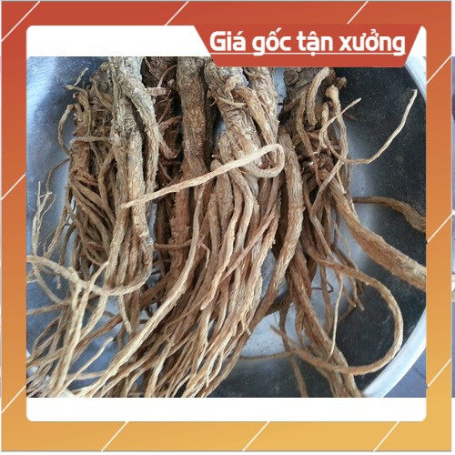 nhân sâm đương quy khô 100g