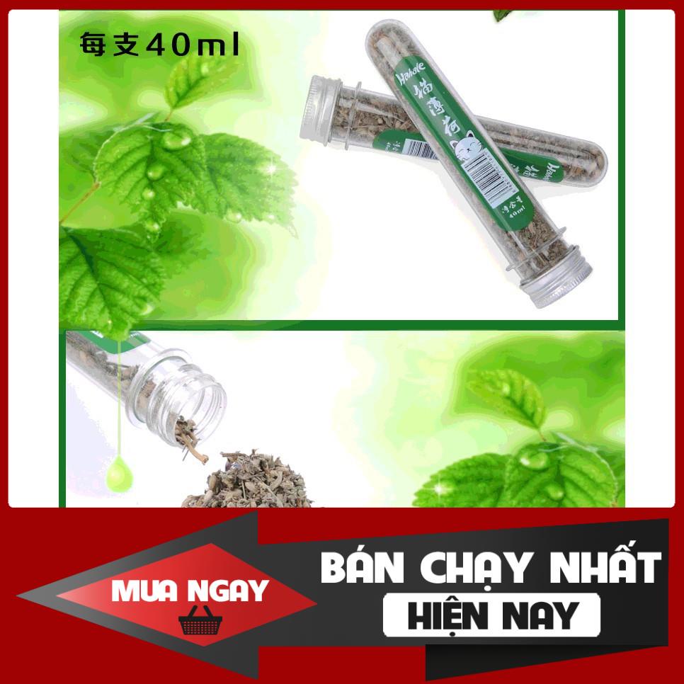 [❌GIÁ SỈ❌] [FREESHIP] Đồ chơi cho mèo ống catnip cỏ bạc hà cho mèo 0 ❤️