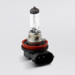 Bóng H16 12V 19W