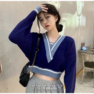 Áo len tay dài cổ chữ V freesize