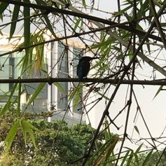 MNK SHOP, Cửa hàng trực tuyến | BigBuy360 - bigbuy360.vn