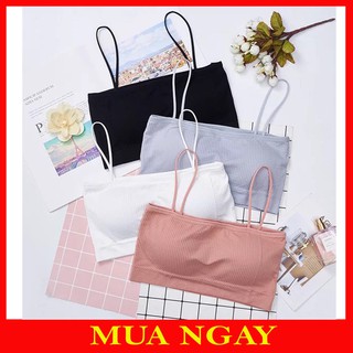 Hàng Áo bra quây gân tăm cotton br16 hàng chọn