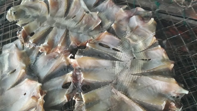 Khô cá ghimPhan Thiết nhà làm loại ngon 500g - Shop Khô Phan Thiết