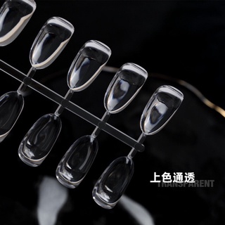 Móng mẫu Nail Dày