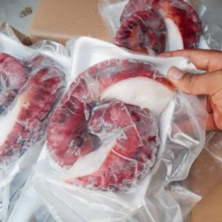 Râu bạch tuộc đỏ