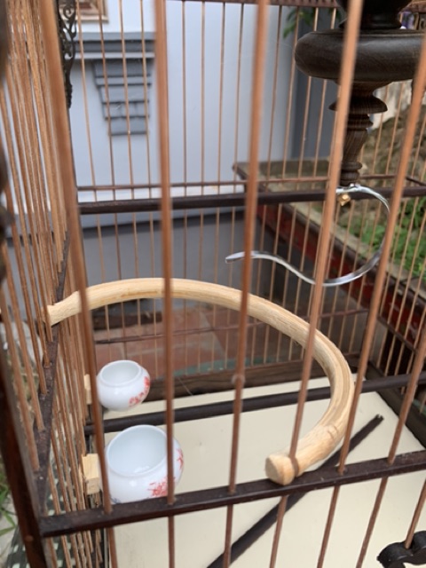 Cầu góc tre