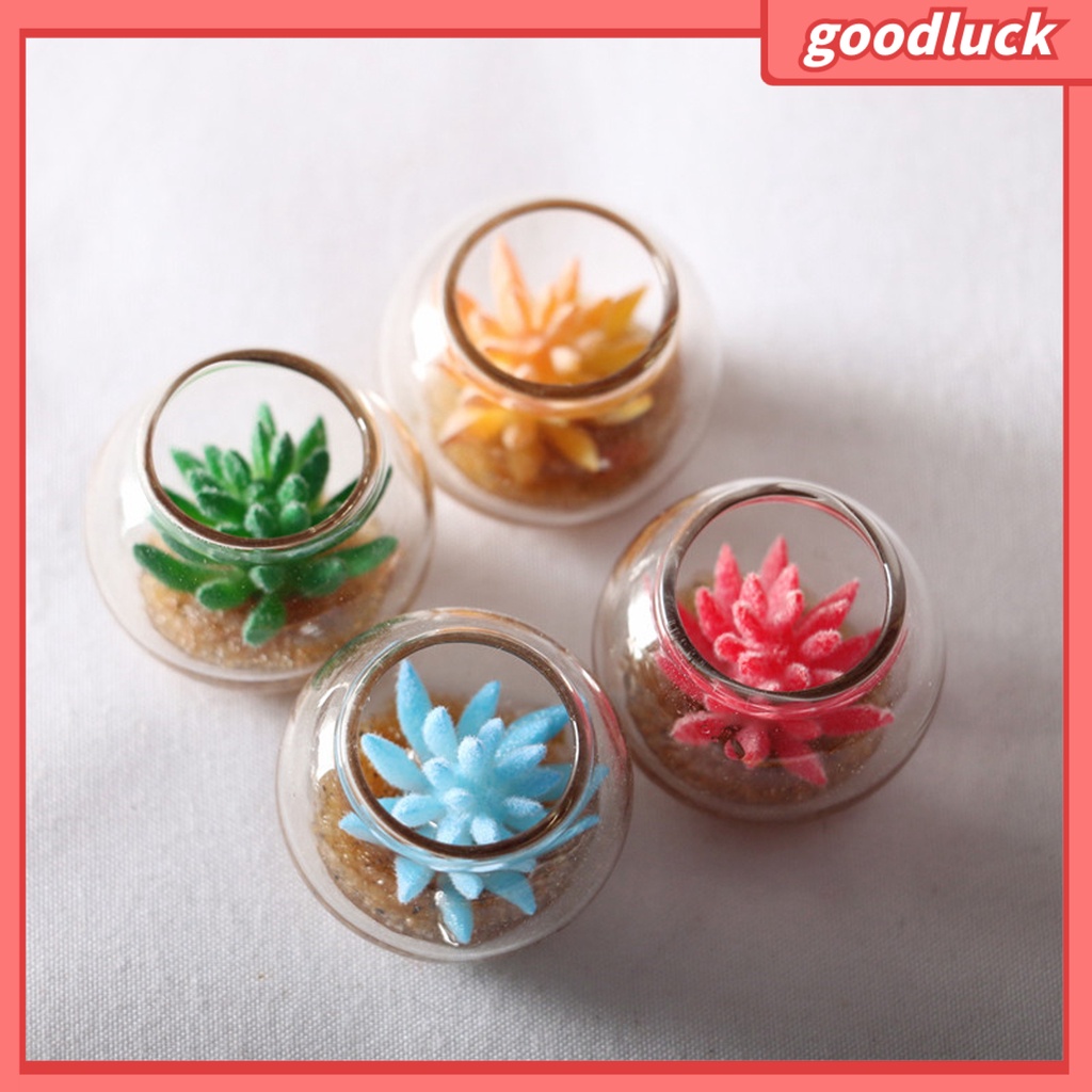 Đồ trang trí chậu cây mini màu sắc ngẫu nhiên trang trí bể cá