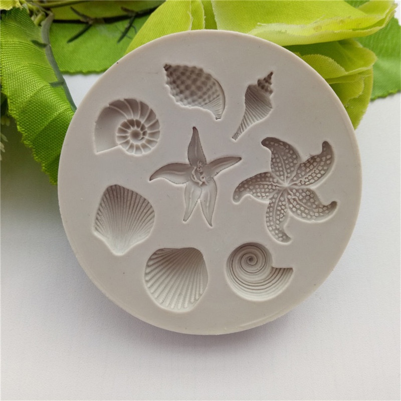 Vỏ Đại Dương / Sô Cô La Độc Đáo
