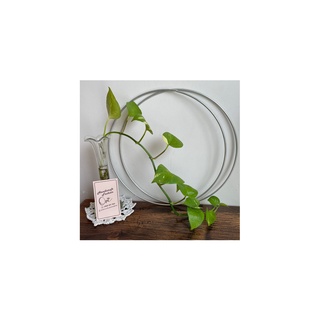 Vòng sắt – size 10cm đến 25cm