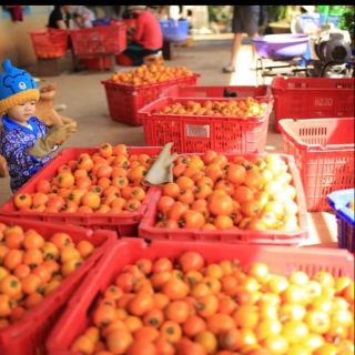 Hồng treo sấy gió theo công nghệ nhật bản