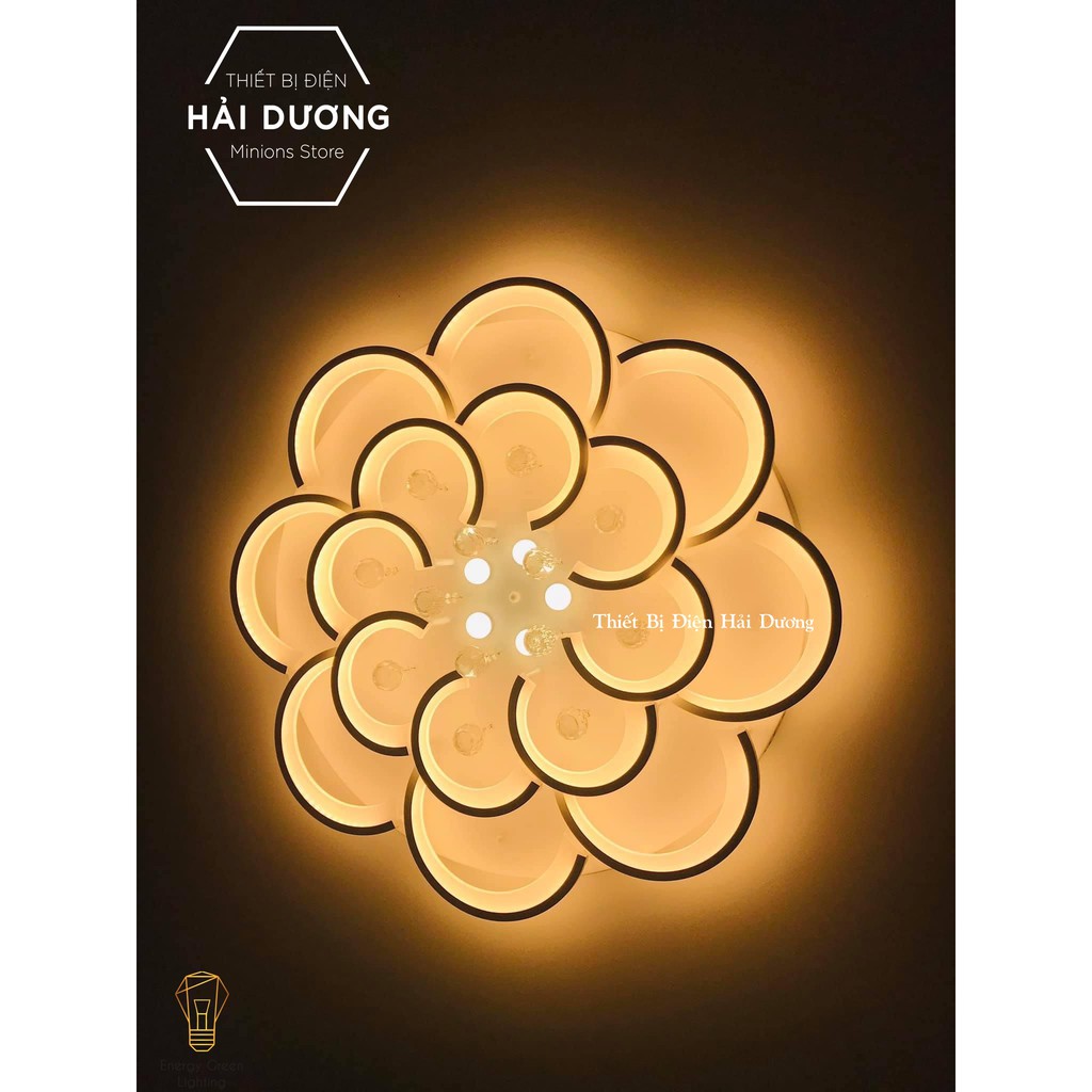 Đèn LED ốp trần hình hoa pha lê 16-20 cánh NT023 3 chế độ ánh sáng - Có điều khiển Từ Xa - Bảo Hành 1 Năm - Có Video