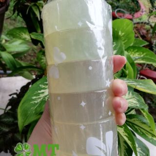 Xà bông dừa Hồng Vân 10 cục
