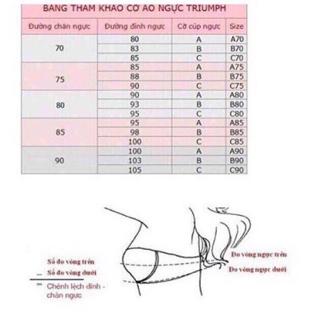 Áo lót Triumph SIMPLY NATURAL GRACE WHP