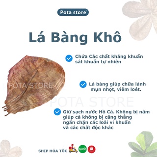 Lá bàng khô, lá bàng thần dược cho cá cảnh lá size lớn