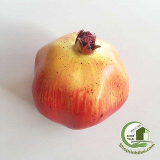 Trái lựu giả - trái cây giả cao cấp