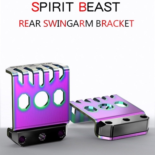 Ốp Càng Sau Xe Máy Spirit Beast L1