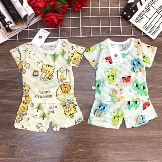 Combo 5 bộ cotton tre