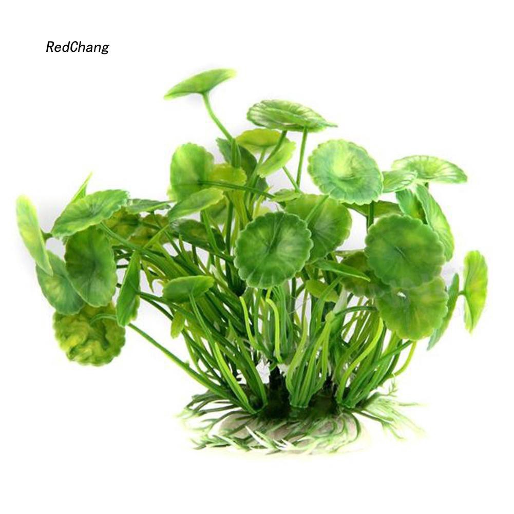 Cây cỏ nhân tạo dùng trang trí bể cá