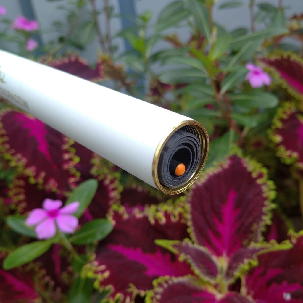 Cần Câu Tay Bạch Hồng 6H - cao cấp tải cá khỏe_ Cần Câu Đài