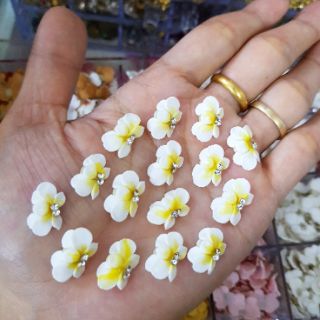 Hoa bột, hoa cúc( gạt ảnh chọn màu)