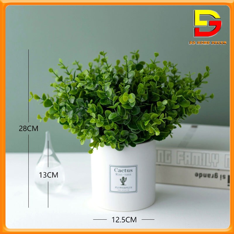 Chậu Cây Kim Tiền Xanh Cây Giả Decor Để Bàn Làm Việc Trang Trí Nhà Cửa Cao 35cm DG-61