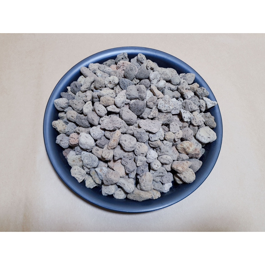 Đá Pumice Chiết Túi 1KG Size 1-2CM - Trồng Cây Sen Đá, Kiểng Lá, Xương Rồng, Phong Lan