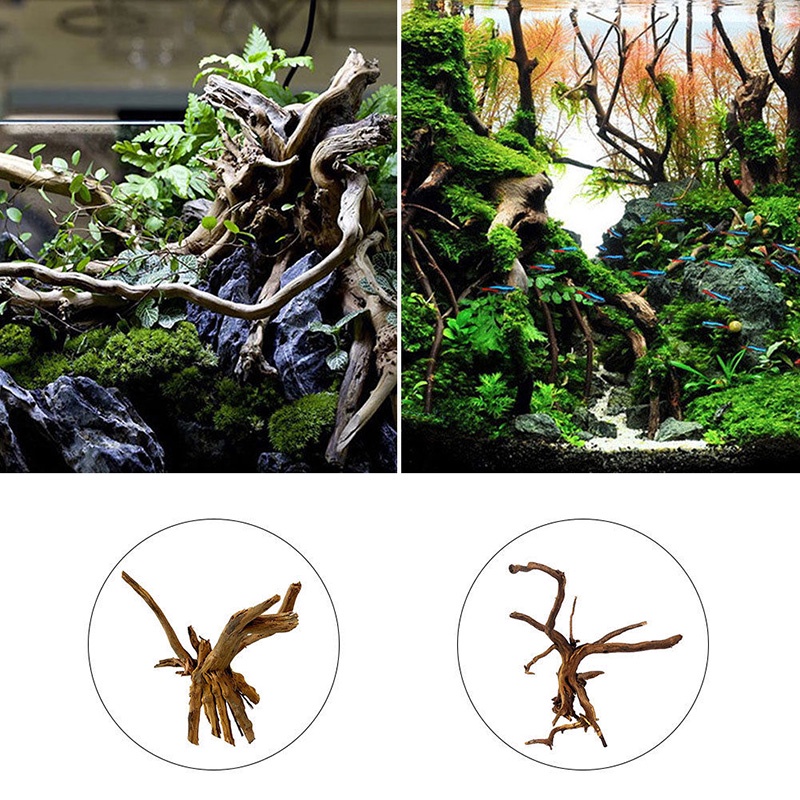 Đồ Trang Trí Hồ Cá Hình Thân Cây Gỗ ☆Bjfranchisesky