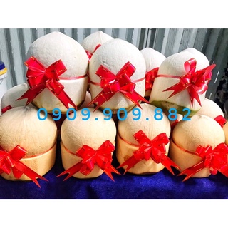 Dừa xiêm Bến Tre - 4 trái