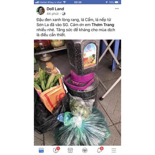 lá Cẩm tím và cẩm đỏ tươi